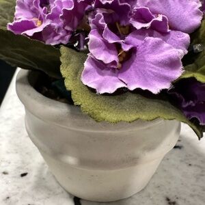 Artificial African Violet
